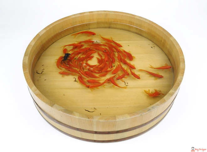 Pinturas tridimensionales de carpas doradas ảnh 1 Pinturas tridimensionales de carpas doradas ảnh 1