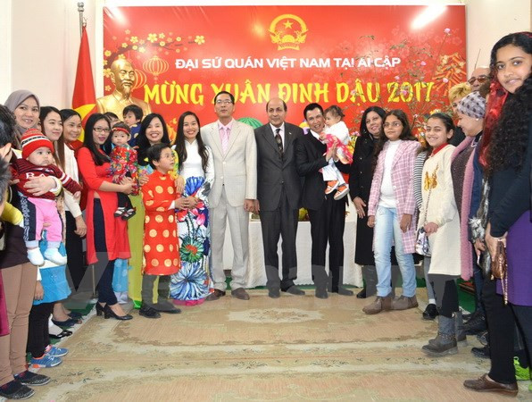 Vietnamitas en Egipto y Camboya celebran el Tet ảnh 1 Vietnamitas en Egipto y Camboya celebran el Tet ảnh 1