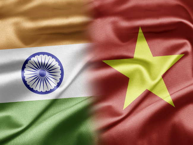 Vietnam reconoce contribuciones de organización india a nexos bilaterales ảnh 1 Vietnam reconoce contribuciones de organización india a nexos bilaterales ảnh 1
