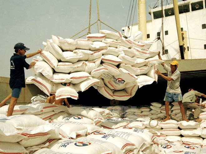 Exportaciones de arroz vietnamita anticipan 400 mil toneladas en mayo ảnh 1 Exportaciones de arroz vietnamita anticipan 400 mil toneladas en mayo ảnh 1