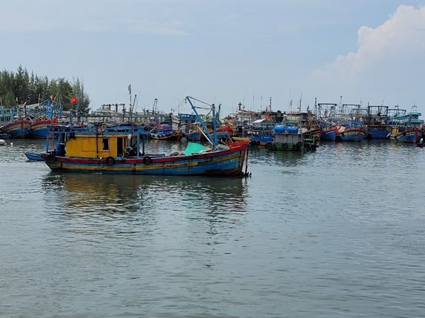 Vietnam refuerza control de barcos para prevenir la pesca ilegal ảnh 1 Vietnam refuerza control de barcos para prevenir la pesca ilegal ảnh 1