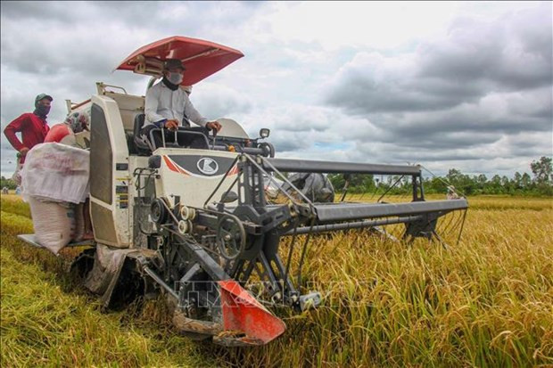 Vietnam concede importancia a garantizar la seguridad alimentaria nacional ảnh 1 Vietnam concede importancia a garantizar la seguridad alimentaria nacional ảnh 1