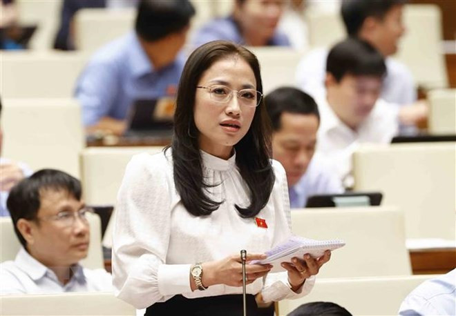 Parlamento vietnamita interpela asuntos de inspección ảnh 1 Parlamento vietnamita interpela asuntos de inspección ảnh 1