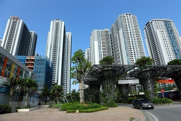 Mercado inmobiliario enfrenta liquidez y otros problemas graves, según HoREA ảnh 1