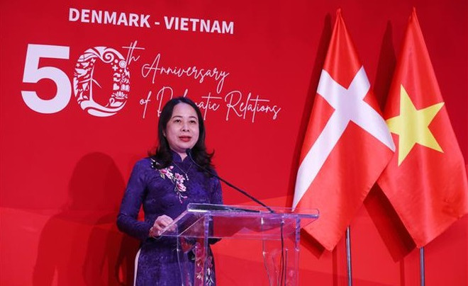 Vietnam y Dinamarca celebran aniversario 50 de relaciones diplomáticas ảnh 3 Vietnam y Dinamarca celebran aniversario 50 de relaciones diplomáticas ảnh 3