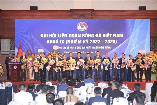 Trabajan juntos por desarrollo sostenible de fútbol de Vietnam ảnh 1