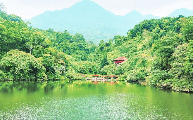 Hanoi por acelerar la recuperación turística ảnh 1 Hanoi por acelerar la recuperación turística ảnh 1