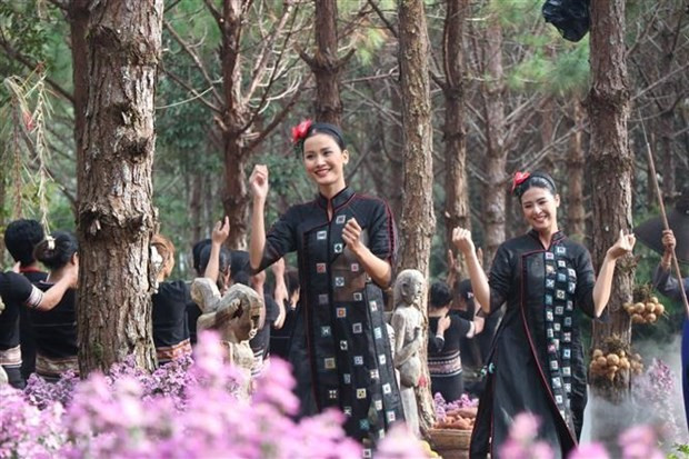Efectúan en provincia vietnamita desfile de traje de brocado ảnh 1