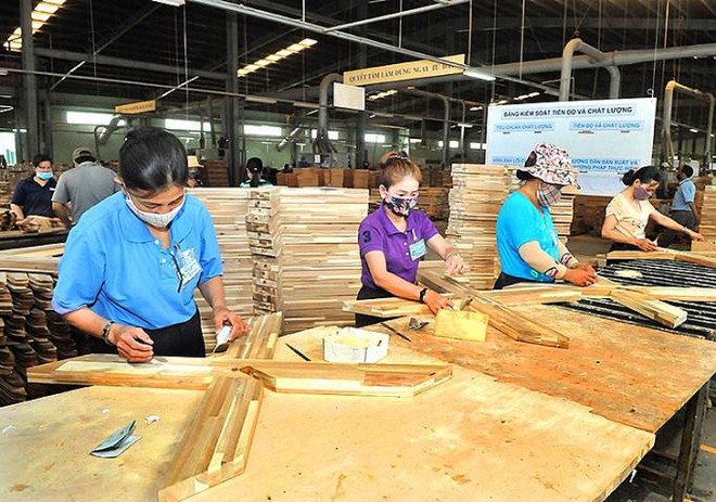 Provincia vietnamita de Dong Nai logra superávit récord en tres años ảnh 2