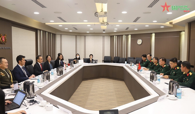 Vietnam estrecha cooperación en defensa con Singapur ảnh 2