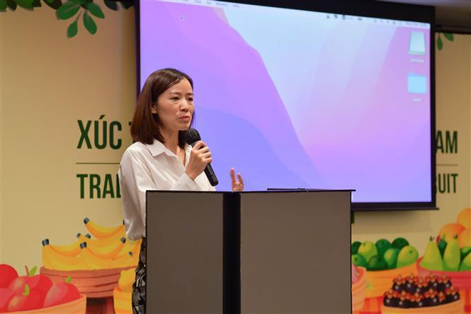 Fruta vietnamita busca ganar terreno en Tailandia ảnh 1 Fruta vietnamita busca ganar terreno en Tailandia ảnh 1