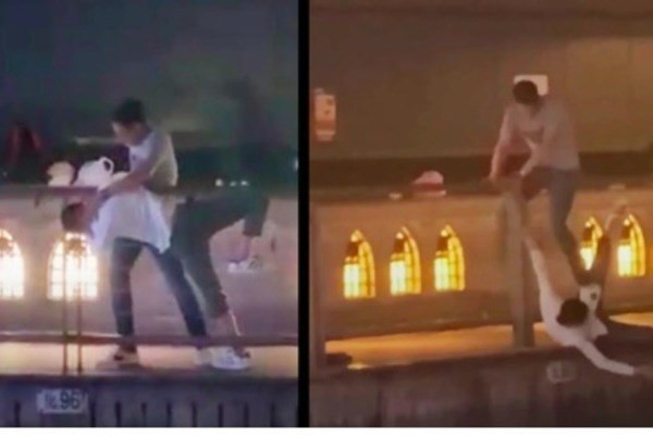 Identifican a vietnamita brutalmente asesinado en Japón ảnh 1