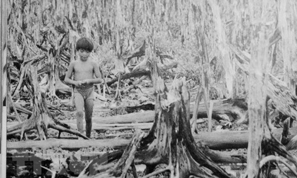 60 años de desastre del Agente Naranja en Vietnam: la guerra catastrófica ảnh 1 60 años de desastre del Agente Naranja en Vietnam: la guerra catastrófica ảnh 1