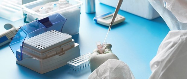 Científicos de Singapur descubren cóctel de fármacos eficaz contra el COVID-19 ảnh 1 Científicos de Singapur descubren cóctel de fármacos eficaz contra el COVID-19 ảnh 1