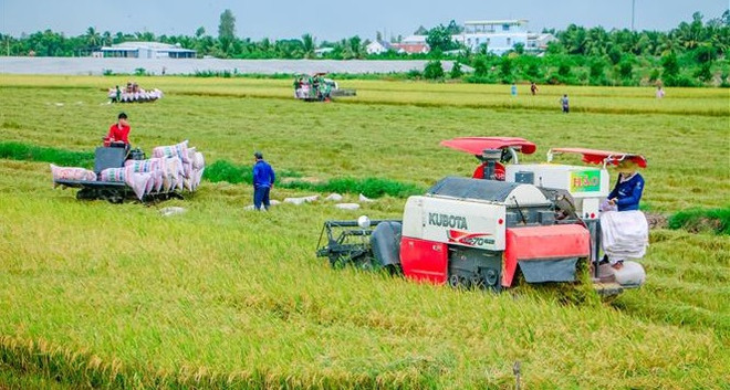 Australia respalda agricultura de alta tecnología en Vietnam ảnh 1 Australia respalda agricultura de alta tecnología en Vietnam ảnh 1