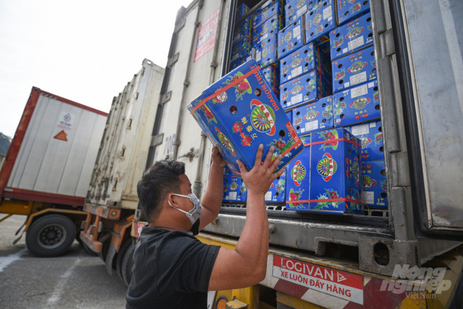 Robustecen Vietnam y China cooperación en agricultura y consumo de frutas ảnh 1 Robustecen Vietnam y China cooperación en agricultura y consumo de frutas ảnh 1