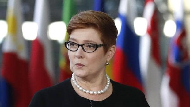 ASEAN, centro de política de Australia sobre Indo-Pacífico ảnh 1