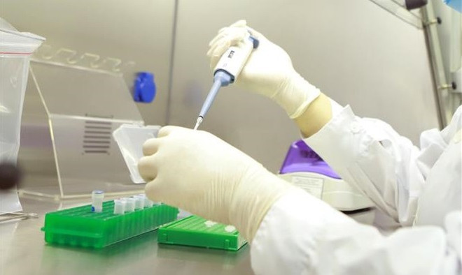 COVID-19: se reduce número de nuevos contagios en Vietnam ảnh 1 COVID-19: se reduce número de nuevos contagios en Vietnam ảnh 1