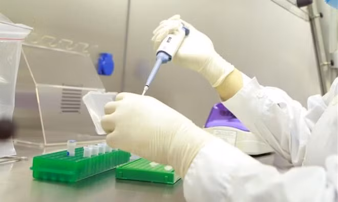 COVID-19: se reduce número de nuevos contagios en Vietnam ảnh 1