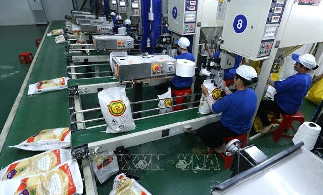 Exportaciones arroceras de Vietnam muestran buenas señales ảnh 1 Exportaciones arroceras de Vietnam muestran buenas señales ảnh 1