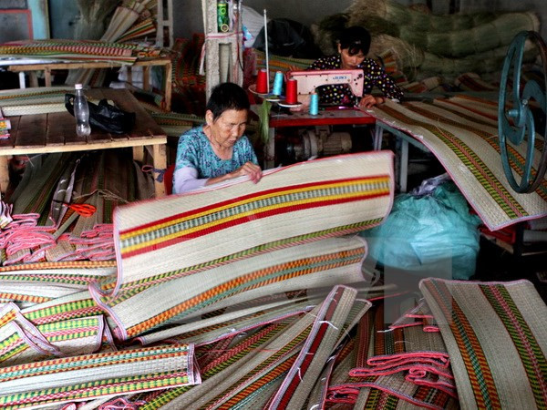 Tejeduría de esteras ante progreso de sociedad moderna ảnh 1