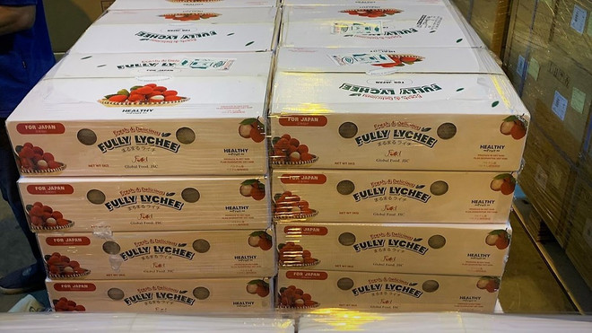 Envían casi 10 toneladas de lichi vietnamita a Japón por vía aérea ảnh 1