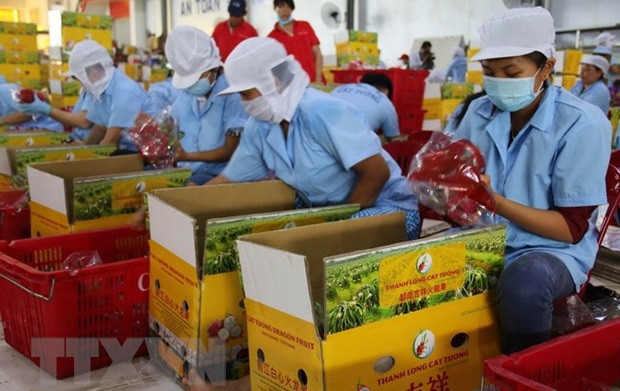 Funcionarios canadienses aprecian dinamismo de la economía vietnamita ảnh 1 Funcionarios canadienses aprecian dinamismo de la economía vietnamita ảnh 1