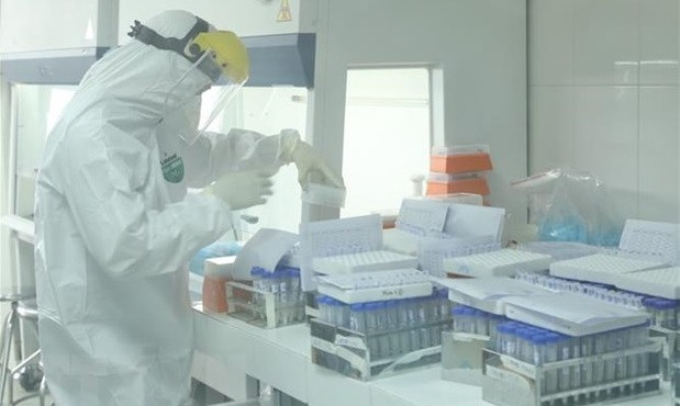 COVID-19: Otros 53 nuevos contagios en Vietnam ảnh 1 COVID-19: Otros 53 nuevos contagios en Vietnam ảnh 1