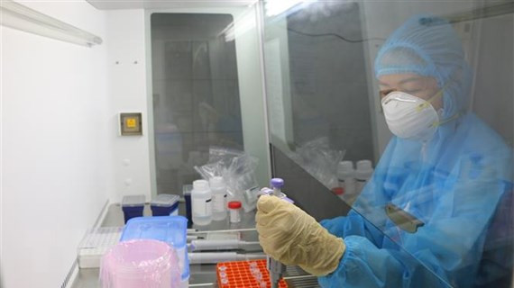 Vietnam reporta otros 73 casos autóctonos de COVID-19 ảnh 1 Vietnam reporta otros 73 casos autóctonos de COVID-19 ảnh 1