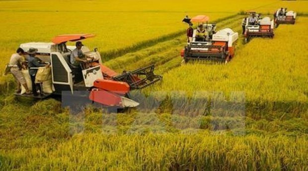 Avanza Vietnam en programa de modernización rural ảnh 1 Avanza Vietnam en programa de modernización rural ảnh 1