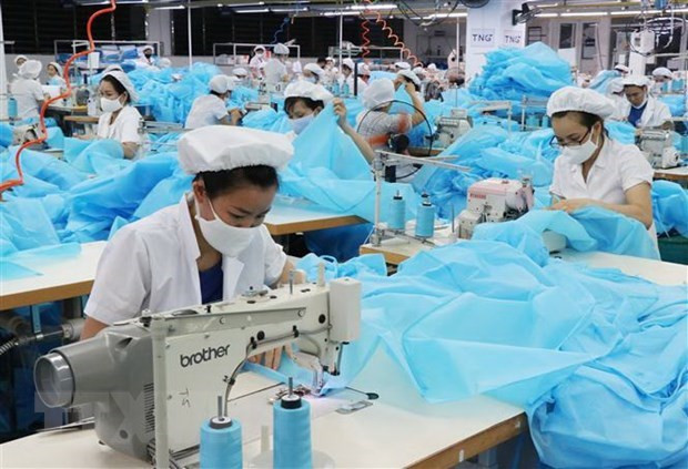Cese de beneficios arancelarios no afectará exportaciones vietnamitas a Unión Económica Euroasiática ảnh 1