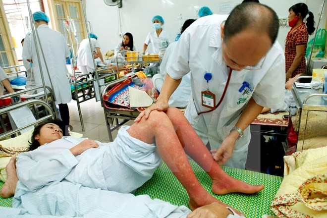Vietnam busca reducir tasa de mortalidad por dengue ảnh 1