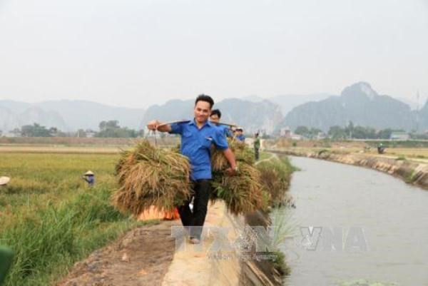 Provincia vietnamita de Quang Ninh avanza en construcción de nuevas zonas rurales ảnh 1 Provincia vietnamita de Quang Ninh avanza en construcción de nuevas zonas rurales ảnh 1