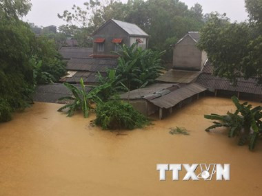 Diez acontecimientos económicos más destacados de Vietnam en 2017 ảnh 8 Diez acontecimientos económicos más destacados de Vietnam en 2017 ảnh 8