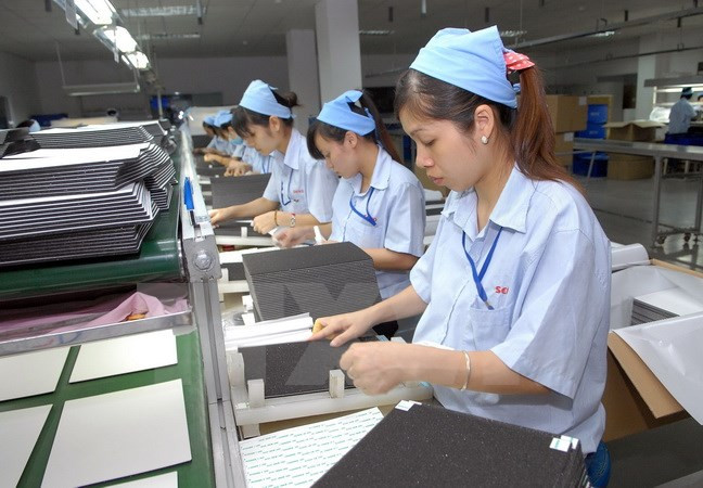 Vietnam prioriza desarrollo de sector privado en economía nacional ảnh 1 Vietnam prioriza desarrollo de sector privado en economía nacional ảnh 1