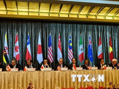 VNA selecciona los diez eventos económicos mundiales más destacados en 2017 ảnh 3