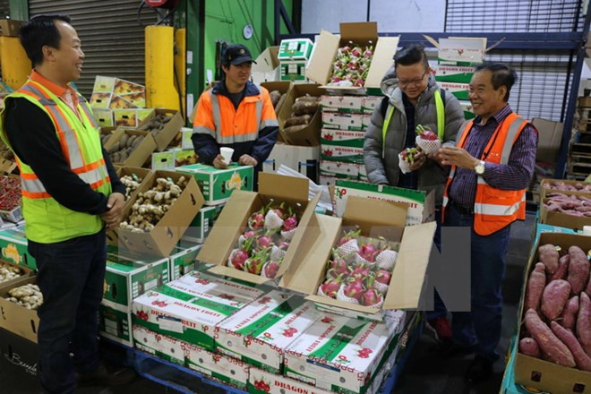 Vietnam ingresa 3,34 mil millones de dólares por exportaciones de frutas y verduras ảnh 1