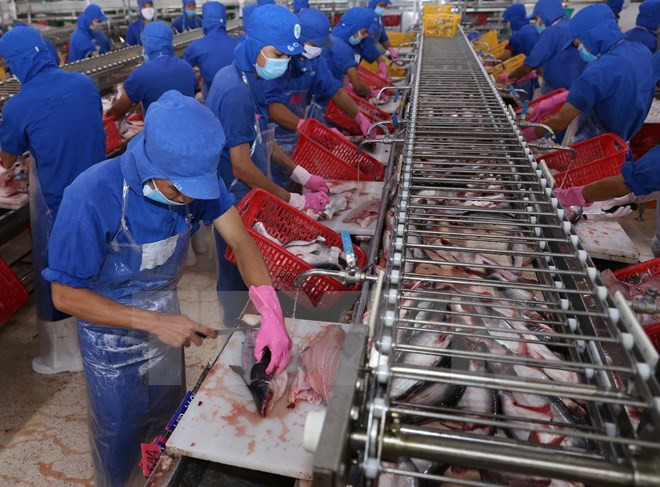 Periódicos franceses enlistan a Vietnam entre economías más efectivas en región ảnh 1 Periódicos franceses enlistan a Vietnam entre economías más efectivas en región ảnh 1