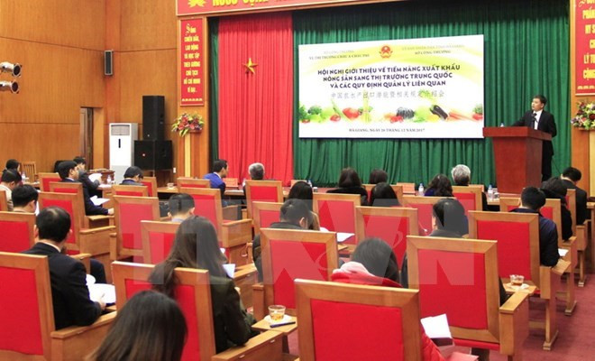 Oportunidades para exportaciones agrícolas vietnamitas a China ảnh 1 Oportunidades para exportaciones agrícolas vietnamitas a China ảnh 1
