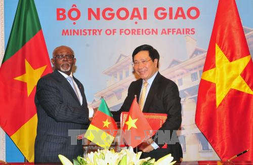 Camerún reafirma disposición de fortalecer lazos multifacéticos con Vietnam ảnh 1 Camerún reafirma disposición de fortalecer lazos multifacéticos con Vietnam ảnh 1