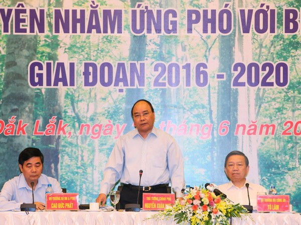 Premier urge medidas para recuperación sostenible de bosques en Tay Nguyen ảnh 1