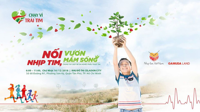 Realizarán maratón en Vietnam a favor de niños con enfermedades cardíacas ảnh 1 Realizarán maratón en Vietnam a favor de niños con enfermedades cardíacas ảnh 1