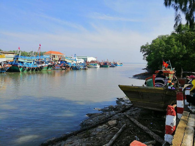 Fortalece provincia vietnamita lucha contra pesca ilegal ảnh 1 Fortalece provincia vietnamita lucha contra pesca ilegal ảnh 1