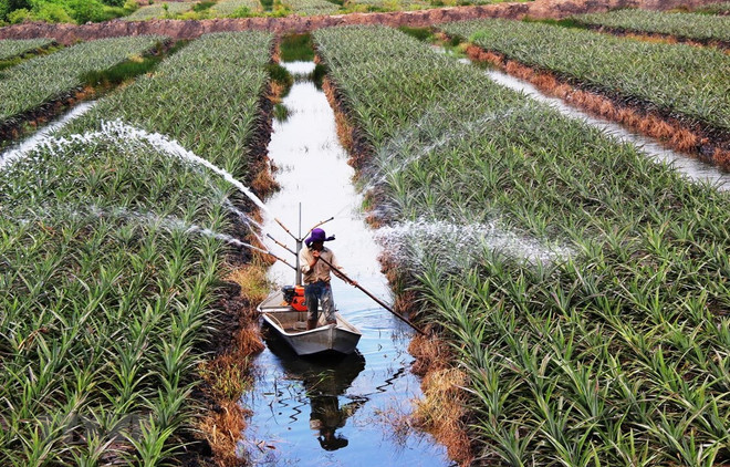 Estimulan el desarrollo agrícola en la subregión Mekong- Lancang ảnh 1 Estimulan el desarrollo agrícola en la subregión Mekong- Lancang ảnh 1