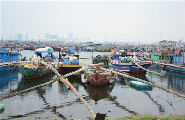 Se mantiene Vietnam alerta ante la llegada del tifón Nakri ảnh 1 Se mantiene Vietnam alerta ante la llegada del tifón Nakri ảnh 1