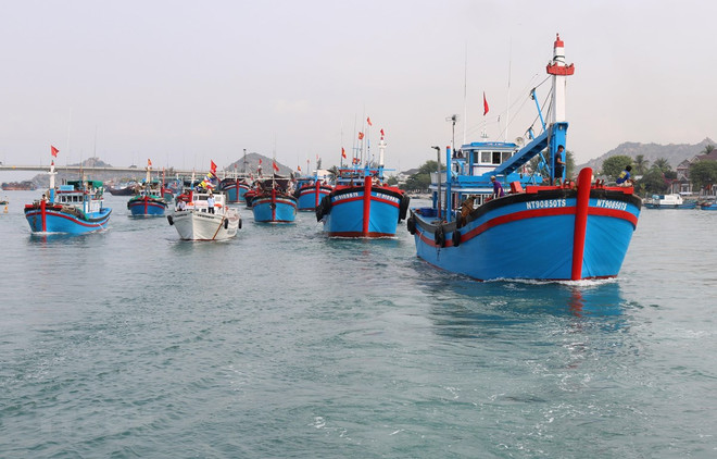 Revisa Comisión Europea implementación de medidas contra la pesca ilegal en Vietnam ảnh 1 Revisa Comisión Europea implementación de medidas contra la pesca ilegal en Vietnam ảnh 1