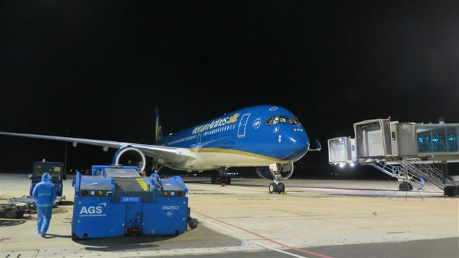 Repatrían a casi 300 vietnamitas varados en Estados Unidos y Japón ảnh 1