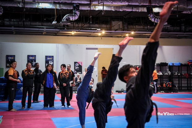 Malasia aspira a ganar 40 medallas de oro en SEA Games 32 ảnh 1