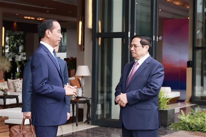 Vietnam e Indonesia conceden importancia a promover su asociación estratégica ảnh 1 Vietnam e Indonesia conceden importancia a promover su asociación estratégica ảnh 1