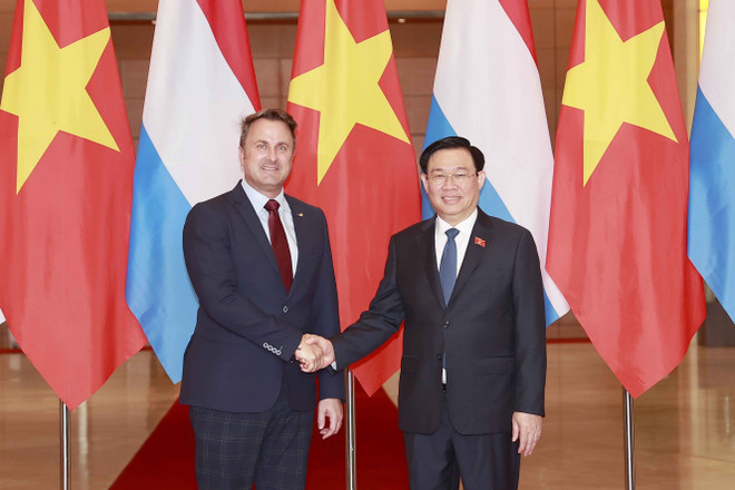 Luxemburgo dispuesto a compartir experiencias de transformación digital con Vietnam ảnh 1 Luxemburgo dispuesto a compartir experiencias de transformación digital con Vietnam ảnh 1